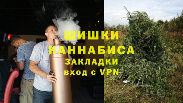 сатива Куйбышев