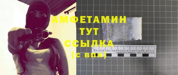 сатива Куйбышев