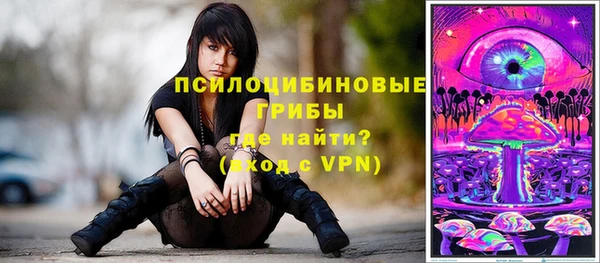 сатива Куйбышев