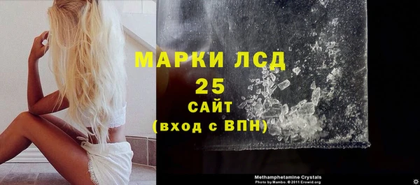 сатива Куйбышев