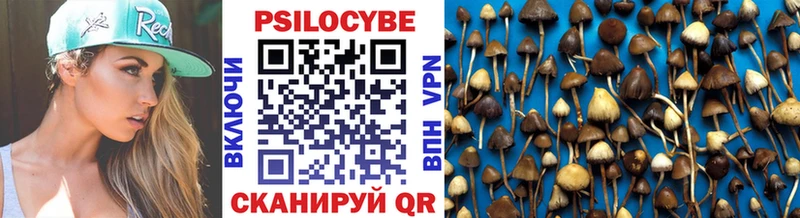 Галлюциногенные грибы Cubensis  darknet как зайти  Первомайск 
